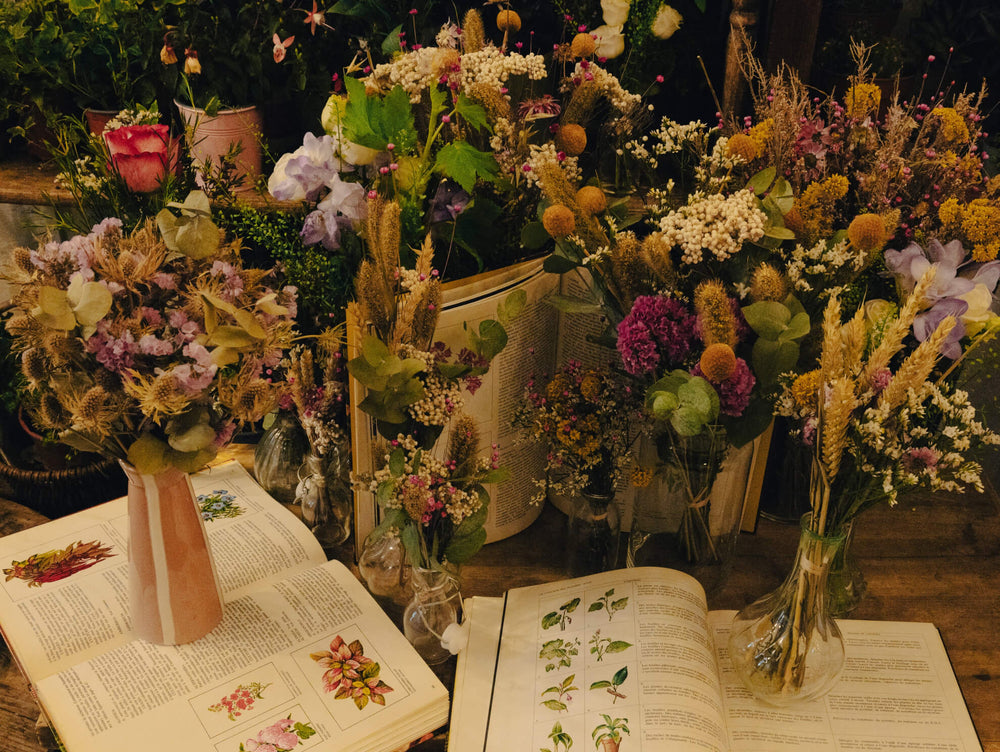 Plusieurs bouquets séchés de l'histoire d'une fleur