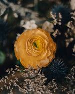 El ramo de flores de Esmeralda.