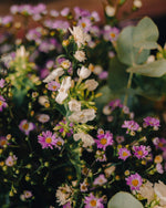 Las flores de Zola