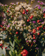 Carnations of Poets