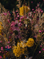 Soliflore Bouquet Sauvage