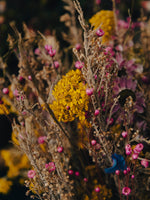 Soliflore Bouquet Sauvage
