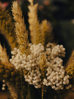 Soliflore Naturaleza Pura