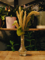 Soliflore Elegancia Natural
