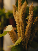 Soliflore Elegancia Natural