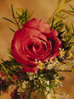 Soliflore Romántico y Natural
