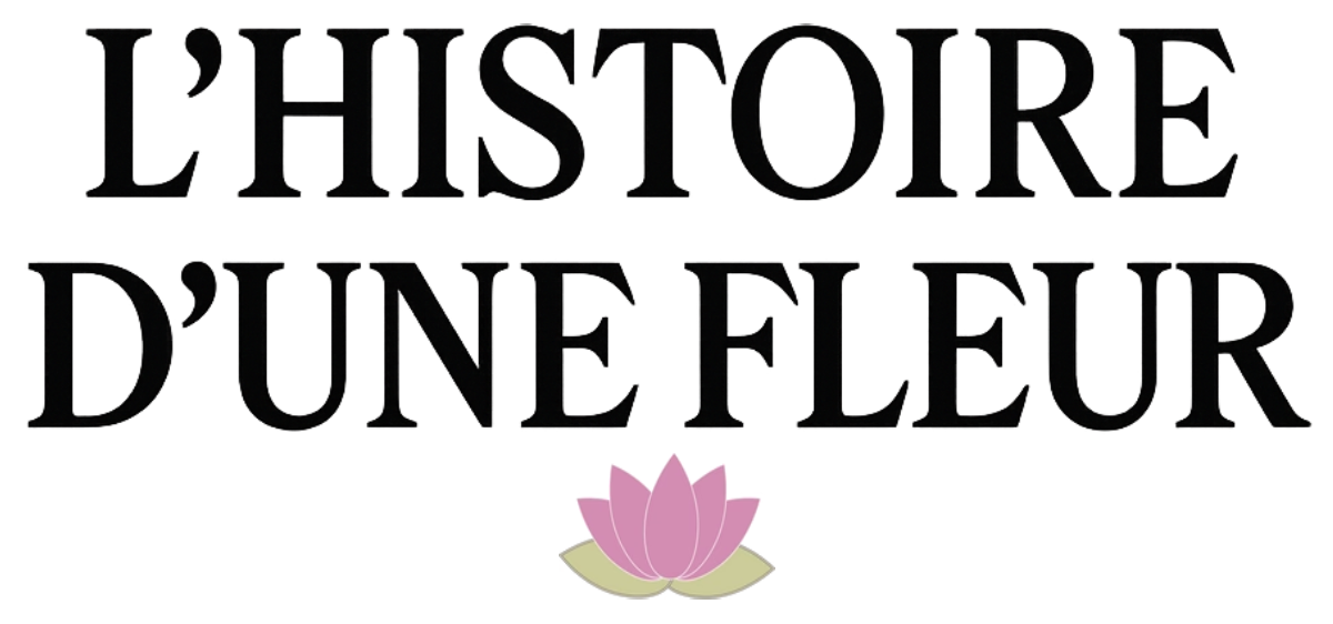 L'Histoire d'une Fleur