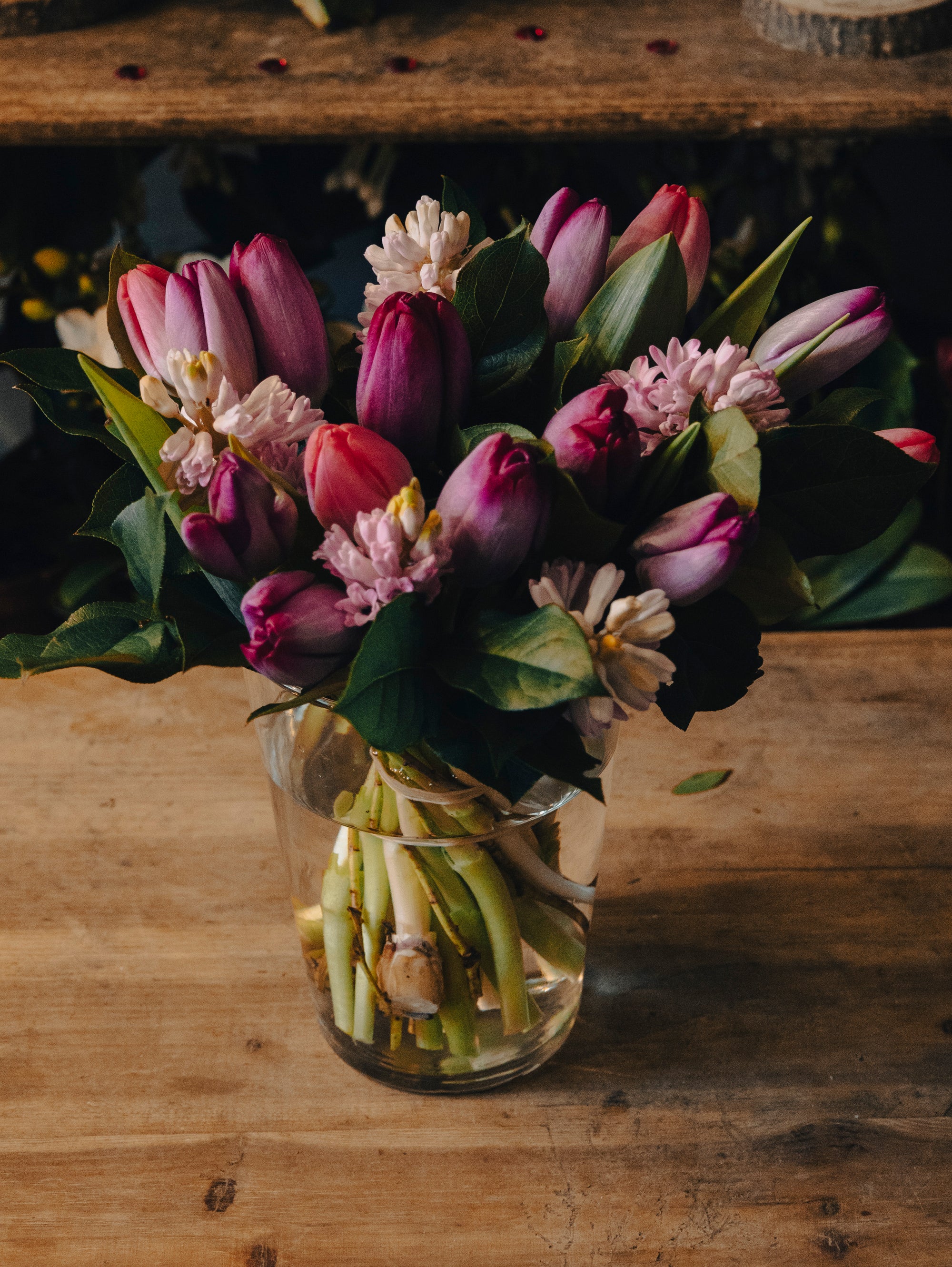 Le Ballet des Tulipes