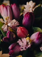 Le Ballet des Tulipes