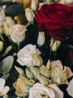 El corazón de terciopelo del jardín de rosas