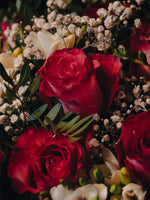La fiesta visual de la velada elegante