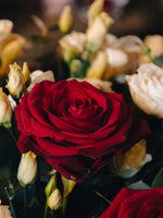 El corazón de terciopelo del jardín de rosas