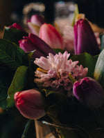 Le Ballet des Tulipes