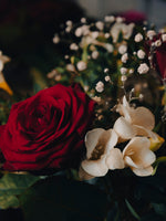 Sinfonía de amor